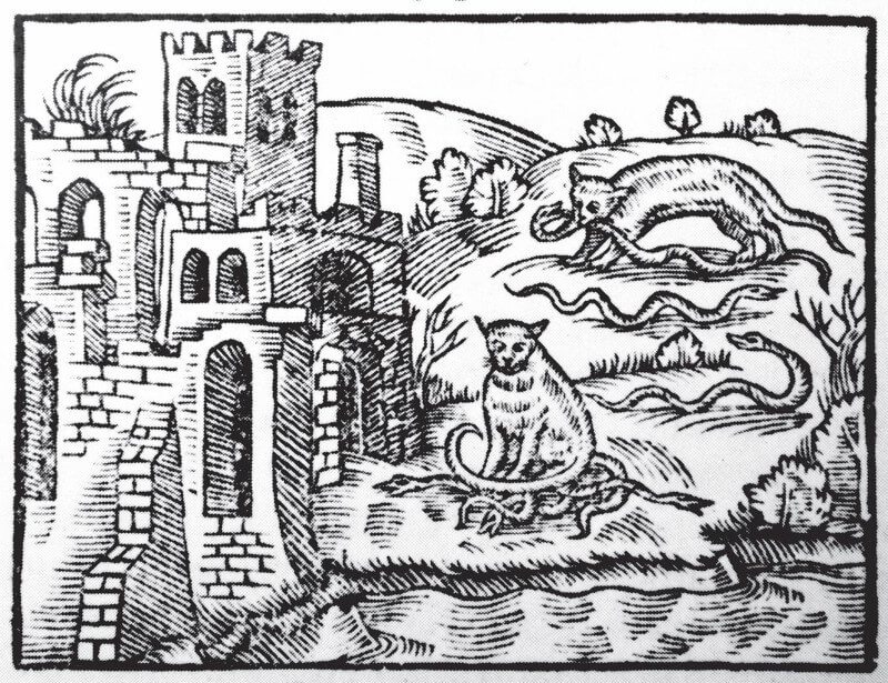 Cats and snakes outside a castle, from the travelogue of Krištof Harant, 1608.