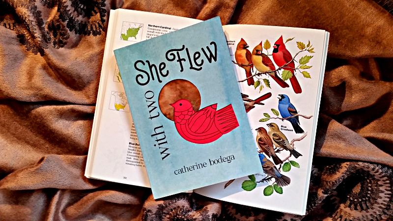 With Two She Flew, a children's book with a stylized red bird on the cover, sitting on a field guide to birds, open to the page with cardinals