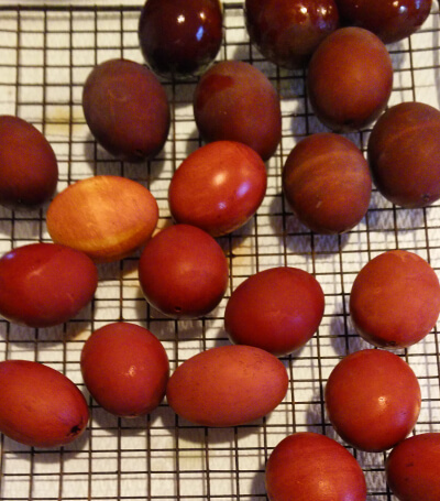 dyed eggs in various shades or red